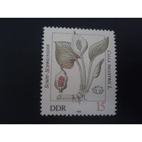 ГДР 1982 лекарственное растение