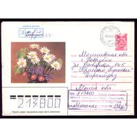 Цветы Бобруйск 980