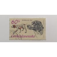 Чехословакия 1973. 50-летие чехословацкой охотничьей организации - Охотничьи собаки