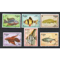 Рыбы Куба 1977 год серия из 6 марок