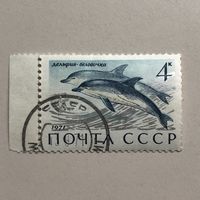 СССР 1971 год. Морские млекопитающие