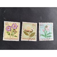Бельгийское Конго  1952 3м цветы