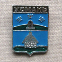 Значок герб города Усмань 2-06