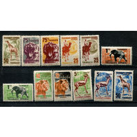 Испанские колонии - Танжер - фауна - 12 марок - 12 марок - MNH, 3 марки с дефектом клея, 1 с полосой на клее, 1 с потрескавшимся клеем. Без МЦ!