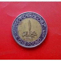 43-13 Египет, 1 фунт 2008 г.