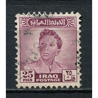 Ирак - 1948/1950 - Король Фейсал II 25F - [Mi.139] - 1 марка. Гашеная.  (LOT Dj23)