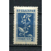 Болгария - 1953/1954 - Горные цветы и лекарственные растения 2St - [Mi.872] - 1 марка. MH.  (Лот 28FA)-T25P8