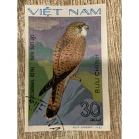 Вьетнам 1982. Хищные птицы. Falco tinnunculus. Марка из серии