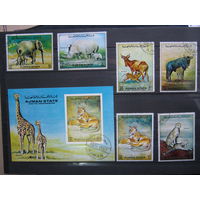 Марки - фауна, Аджман, блок и 6 марок дикие кошки лев слон носорог жираф и др.