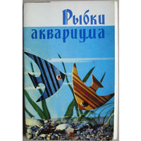 Набор открыток "Рыбки аквариума" (1971) 18 открыток