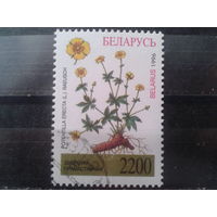 1996 Дубровка