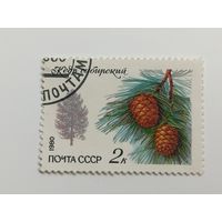 1980 СССР. Деревья и кустарники