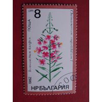 Болгария 1982 г. Цветы.