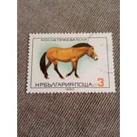 Болгария 1980. Конь Пржевальского