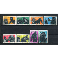 Руанда - 1983 - Горные гориллы - [Mi. 1242-1249] - полная серия - 8 марок. MNH.  (Лот 99DQ)