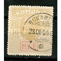 Германская оккупация - Румыния ПМВ - 1917 - Доплатные марки. Военный сбор 10B - [Mi. 7] - полная серия - 1 марка. Гашеная.