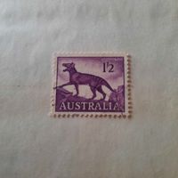 Австралия. Тасманский тигр. Вымерший вид