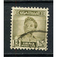 Ирак - 1948/1950 - Король Фейсал II 14F - [Mi.136] - 1 марка. Гашеная.  (LOT Dj20)