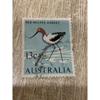 Австралия. Птицы. Red necked avocet. Марка из серии