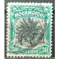 Мозамбикская компания 1925г.