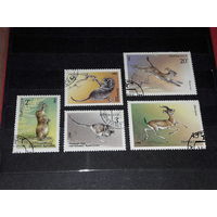 СССР 1985 Фауна. Животные. Полная серия 5 марок