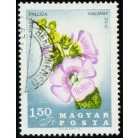 50-летие со дня смерти венгерского ботаника и натуралиста Пала Китайбеля Венгрия 1967 год 1 марка