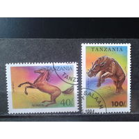 Танзания 1993 Кони
