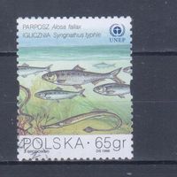 [971] Польша 1998. Морская фауна.Рыбы. Гашеная марка.