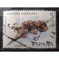 Испания 1974 Фауна, ящерица Михель-0,7 евро гаш