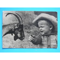 Фото Робского М., Фарбера Г., Мальчик и козлик, 1964, подписана (дети).