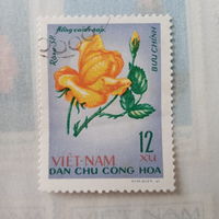 Вьетнам 1967. Цветы. Роза
