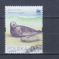 [971] Польша 1998. Морская фауна.Тюлени. Гашеная марка.