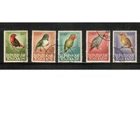 Того-1964 (Мих.402-405) , гаш., 5 марок -авиа , Фауна, Птицы