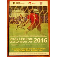 Кубок развития 2016
