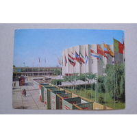 ДМПК, 19-01-1978; Круцко Б. (фото), Ташкент. Дворец искусств; подписана.