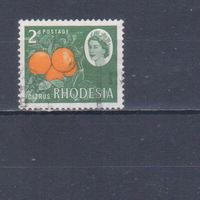 [1311] Британские колонии.Родезия 1966. Елизавета II.Апельсины. Гашеная марка.