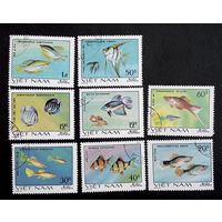 Вьетнам 1981 г. Аквариумные рыбы. Фауна. полная серия из 8 марок #0022-Ф1
