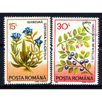 1993 Румыния. Лекарственные растения