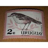 Уругвай 1963 Фауна Птицы Чистая марка