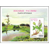 Лекарственные растения Беларусь 1996 год (173) 1 блок