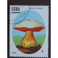 Куба 1988 г. Грибы.