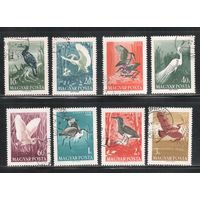 Венгрия-1959, (Мих.1593-1600),   гаш., Фауна, Птицы (полная серия)