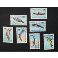Куба 1984 г. Киты. Дельфины. Морская фауна. Млекопитающие, полная серия из 7 марок #0034-Ф2P6