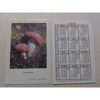 Карманный календарик. Сыроежки. тираж 400 000. 1978 год
