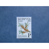 Беларусь 2004 стандарт Р Облепиха