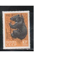СССР-1970, (Заг. 3838)  **  , Фауна, Заповедник, Медведь