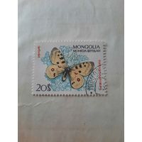 Монголия. Бабочки. Parnassius Apollo