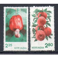 Стандартный выпуск Индия 1981 год 2 марки