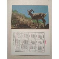 Карманный календарик. Баран. 1991 год