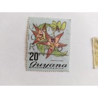 Гайяна 1971